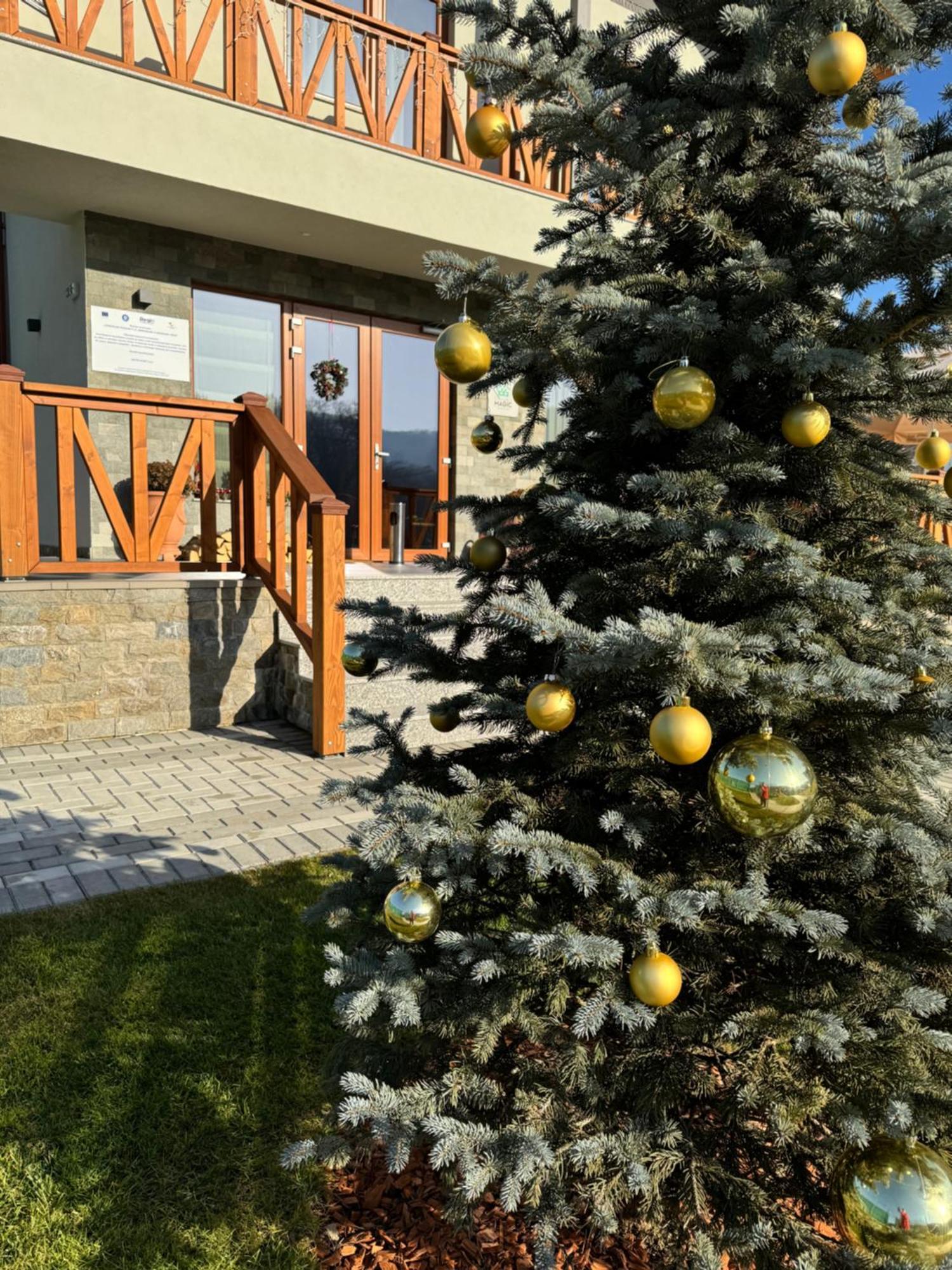 Pensiunea Magic Băile Govora 외부 사진