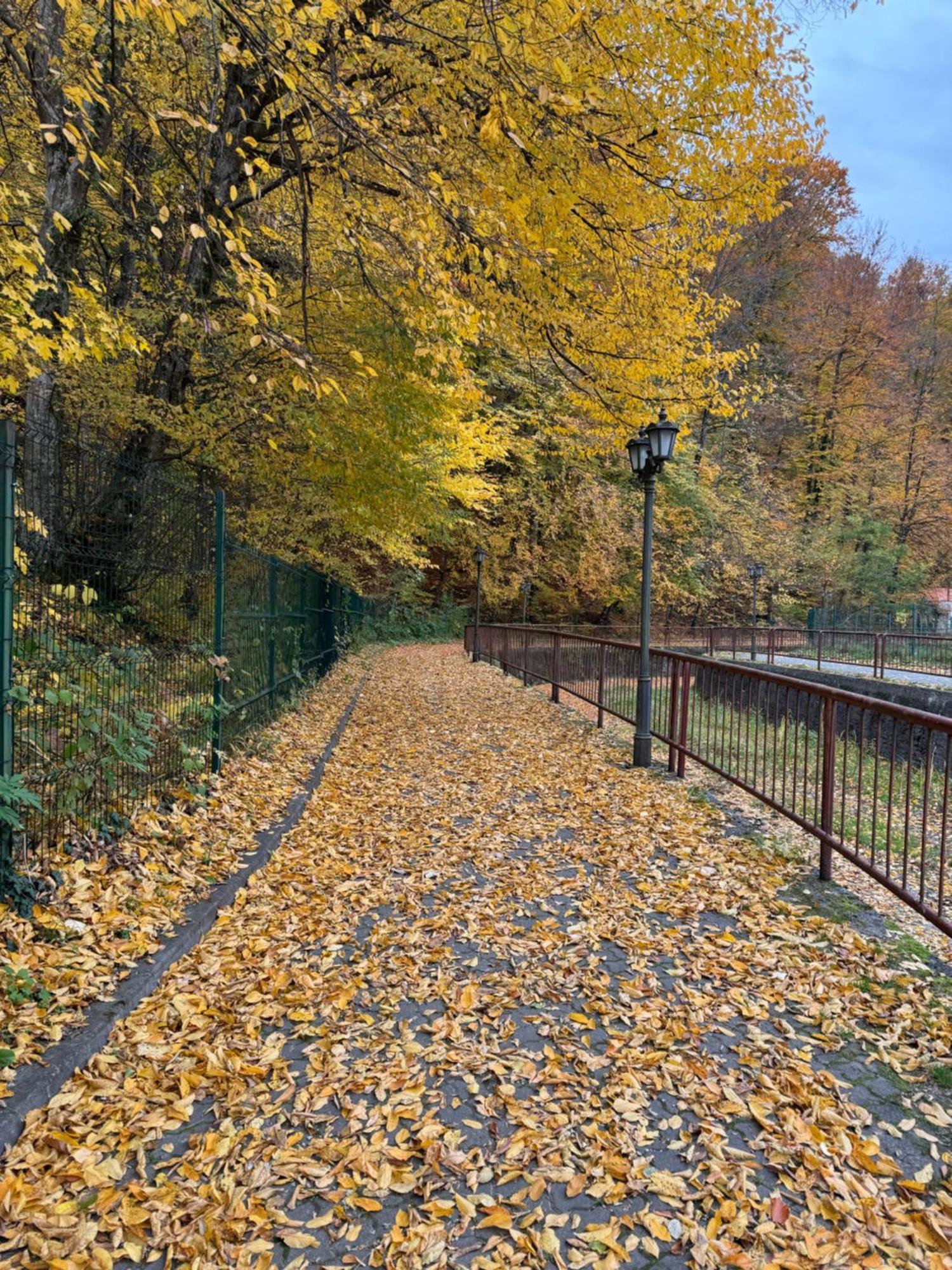 Pensiunea Magic Băile Govora 외부 사진